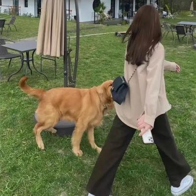 诉讼风暴